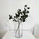 Theapartments Radwanska Lodz