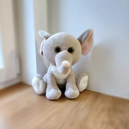 Theapartments Radwanska *