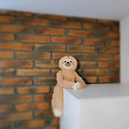 Apartmán Theapartments Radwanska Lodž