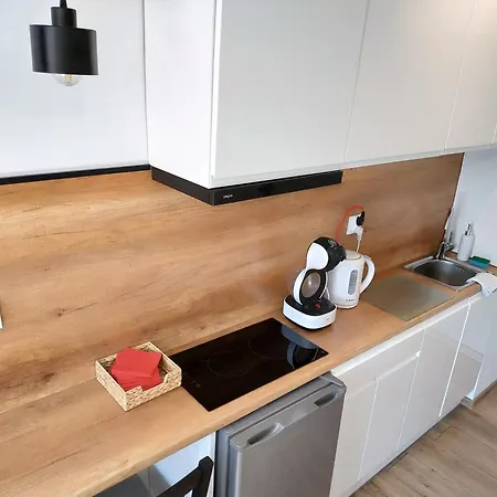Theapartments Radwanska Lodž