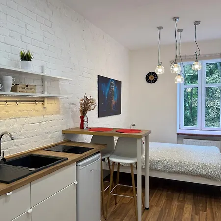 Theapartments Radwanska *