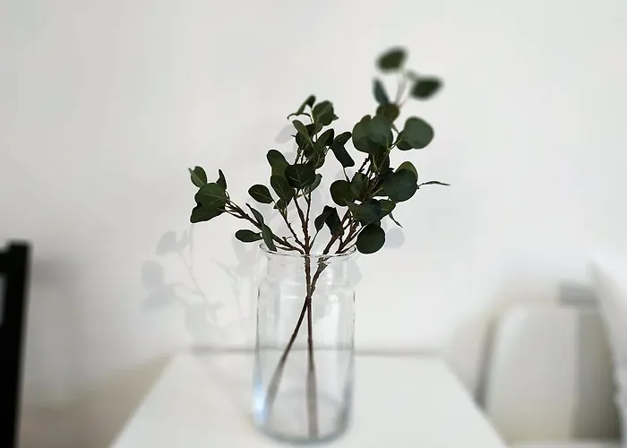 Theapartments Radwanska Łódź