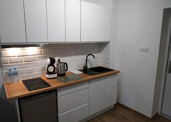 شقة Theapartments Radwanska *