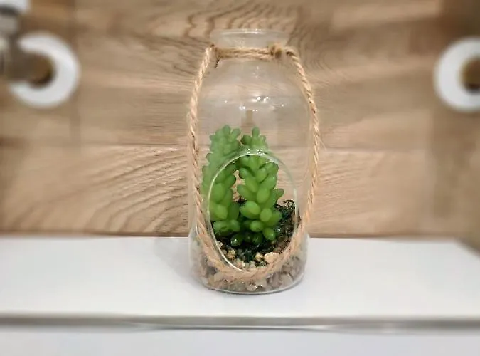 Theapartments Radwanska شقة